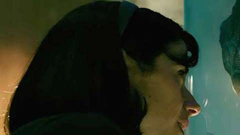 'La forma del agua', de Guillermo del Toro, lidera las nominaciones a los Premios Óscar 2018, con trece.