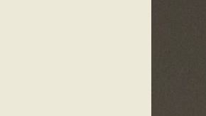 Ramon Thomas vivía en un refugio para personas sin hogar en Bed-Stuy