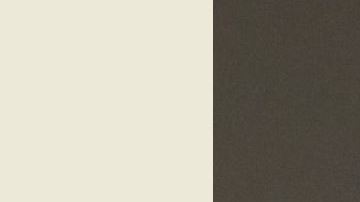 Ramon Thomas vivía en un refugio para personas sin hogar en Bed-Stuy