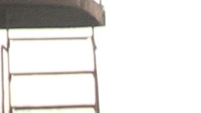 Se busca que más personas puedan manejar los mismos carros