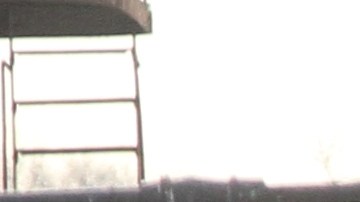 Se busca que más personas puedan manejar los mismos carros