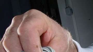 Para muchos es difícil entender por qué hay personas dispuestas a pagar tanto por las angulas.