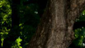 "La argentina quiere ser rubia porque está en una constante búsqueda de su pasado europeo", dice Oscar Colombo, un famoso peluquero.