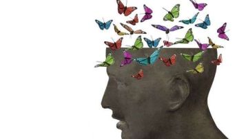 Los orígenes y destino de las mariposas del cerebro... no es poesía, es neurología.