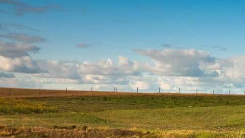 Les llaman cerezas de la pradera y son originarias de climas templado.