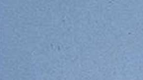 El centro de buceo era donde el espía israelí Shimron daba clases. BBC