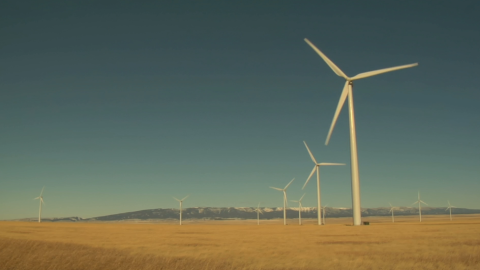 El cambio climático obliga a pensar en formas innovadoras e inteligentes capaces de atender las necesidades de la población mundial.