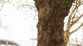 Volvo XC90 es el auto más seguro del mercado. Volvo