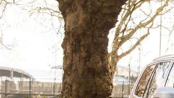 Volvo XC90 es el auto más seguro del mercado. Volvo