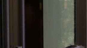 Vertis Boyce (der) con la madre y hermana de Beto Maldonado y el doctor Jeffrey Veale.