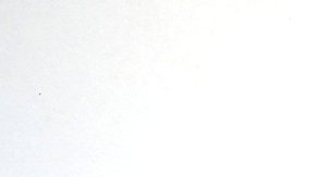 El buscador tendrá que borrar de sus resultados su historial delictivo. Algunos dicen que este caso tendrá grandes repercusiones.