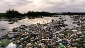 Se estima que 8 millones de toneladas de plásticos acaban cada año en el océano.