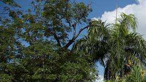 La exposición 'Las Chacabanas son dominicanas'. EFE