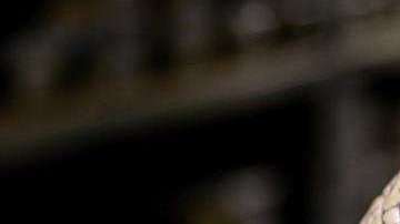 El cerebro se "actualiza" cuando enfrenta una novedad.