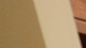 Las 20 Mujeres Destacadas de El Diario 2018 en el Harvard Club en Manhattan.