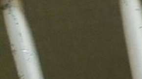 Baux sobrevivió gracias a la ayuda de Jamie, una mujer que se solidarizó, lo rescató y lo adoptó.