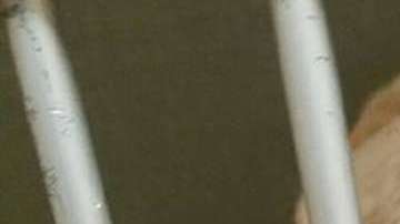 Baux sobrevivió gracias a la ayuda de Jamie, una mujer que se solidarizó, lo rescató y lo adoptó.