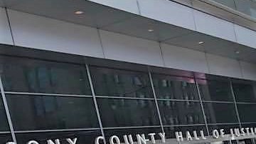 Decenas de abogados de Legal Aid Society se manifestaron tras una detención de La Migra en el juzgado de El Bronx