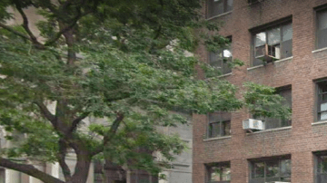 El suceso fue reportado en Greenwich House