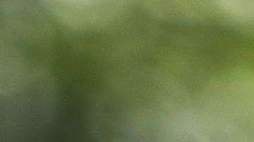 La popularidad del presidente Trump sigue en aumento.