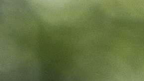 Cuando Trump se siente atrapado, lanza otra medida que perjudica a inmigrantes o refugiados