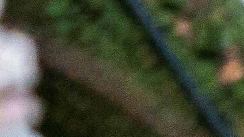 El gobierno de Trump presiona a las "ciudades santuario".