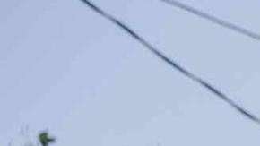 Un hombre protesta encima de un vehículo quemado.