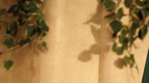 Andrés Manuel López Obrador, líder izquierdista