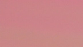 López Obrador dijo que ya le ofreció el avión presidencial mexicano a Trump.