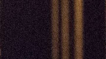 Selena Gomez y The Weeknd cuando todavía eran pareja.