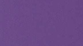 Aracely Arámbula, regresará con "La Doña".