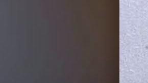 Ainsley Johnson está registrado como abusador sexual por crímenes en Queens y Florida