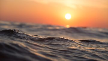 Es posible que el impacto e implicaciones para la biodiversidad de las olas de calor marinas también se continúe agravando.