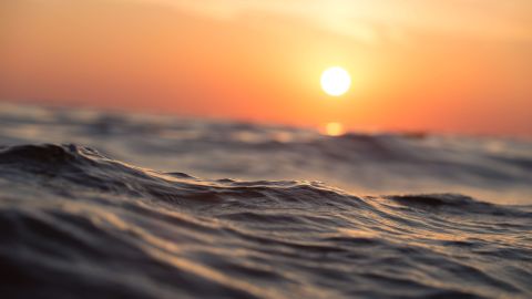 Es posible que el impacto e implicaciones para la biodiversidad de las olas de calor marinas también se continúe agravando.