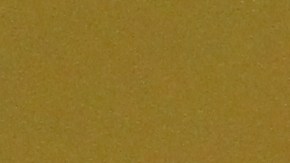 Alcalde Bill de Blasio con el Canciller de Educación Richard Carranza visitan la escuela PS 25 en El Bronx.