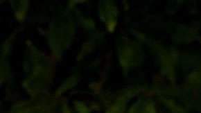 Brooklyn, el guapo hijo de Victoria y David Beckham.