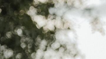 México vuelve al blanco y olvida el negro.