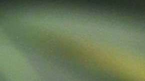 Cinco alumnos de una escuela secundaria se enfermaron