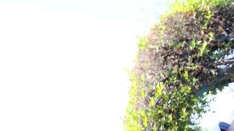 Chiquis Rivera y Lorenzo Méndez.