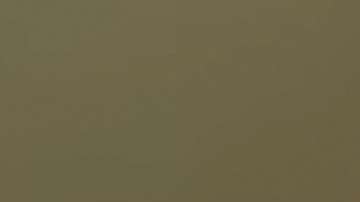 Adela Micha respondió al insulto de Daniel Bisogno