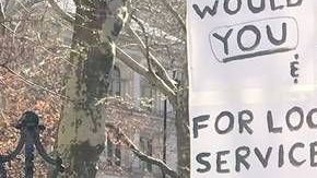 Activistas y concejales apoyan la legislación propuesta