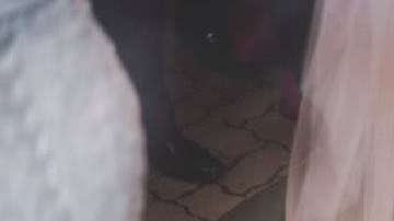 Un perro callejero irrumpe en la boda de esta pareja que acaba por adoptarlo.