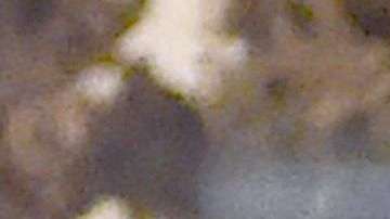 Donald Trump y Kanye West