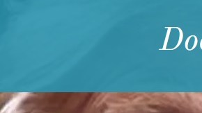 La página web sobre demanta colectiva contra Trump.