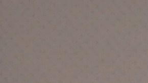 La magistrada Ruth Bader Ginsburg, de la Corte Suprema de Estados Unidos en la ceremonia de naturalización del pasado 10 de abril en el edificio del New-York Historical Society