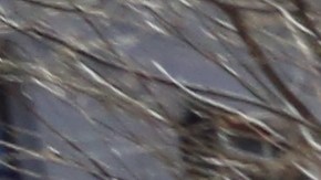 Marilyn Reyes con TJ Shivers. Contralor Scott Stringer y los asambleistas Michael Blake y Brian Benjamin proponen prohibir las fianzas comerciales que beneficiarian a los latinos y afroamericanos.