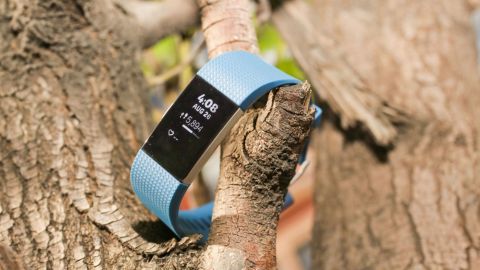 Fitbit Charge 2.