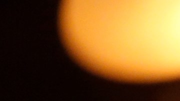 Antonio Banderas interpreta a Pablo Picasso.