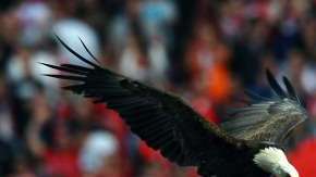 El Águila abandonó al Benfica.  PAUL ELLIS/AFP/GettyImages