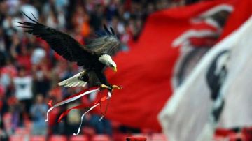 El Águila abandonó al Benfica.  PAUL ELLIS/AFP/GettyImages